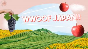 wwoof japan, wwoof คือ