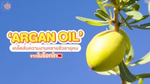 Argan OIl