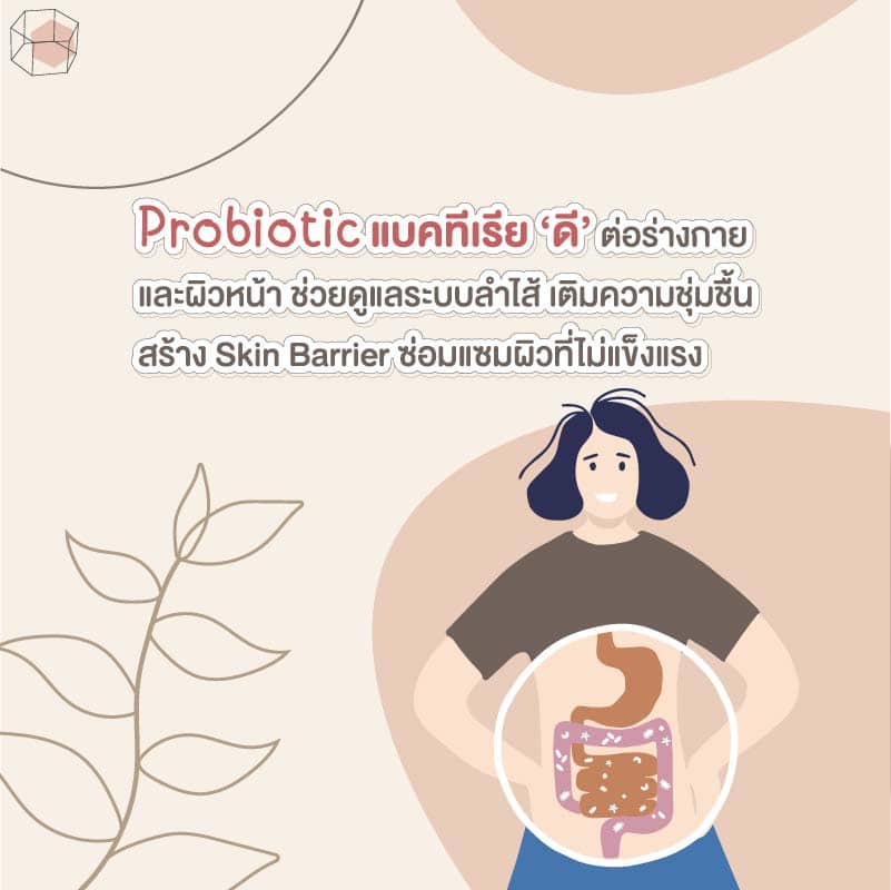 Probiotic คือแบคทีเรียดี สารอาหารผิว